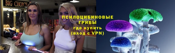 прущая мука Богородск