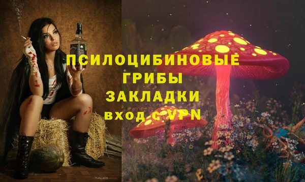 стаф Беломорск