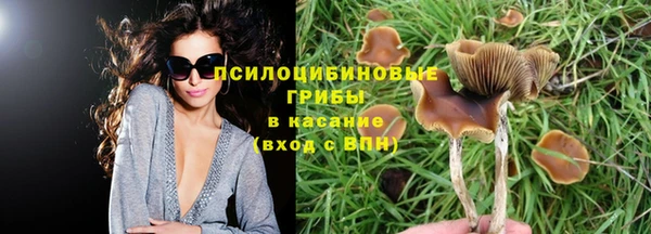 кокс Белокуриха