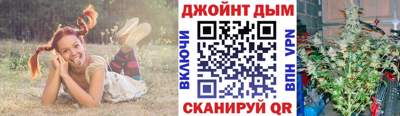 Марихуана сатива  Миллерово 